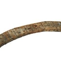 Omc 1960.068.001  (4) Edited